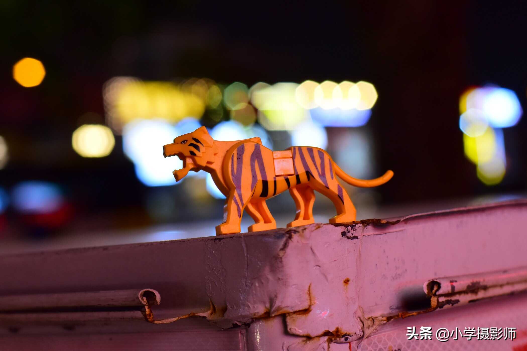 尼康D5300+50MM1.8G拍摄短视频,分享不一样的新玩法