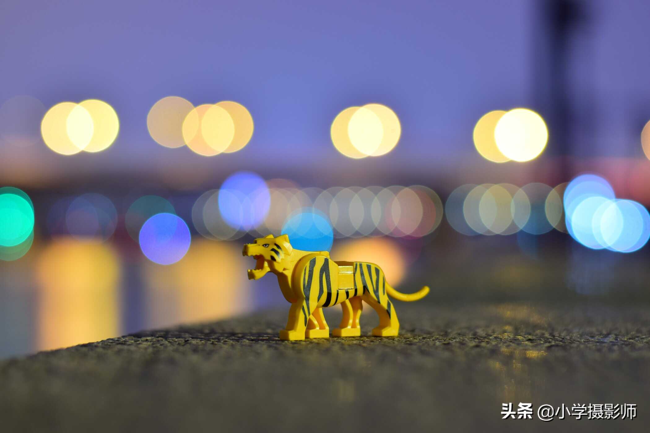 尼康D5300+50MM1.8G拍摄短视频,分享不一样的新玩法
