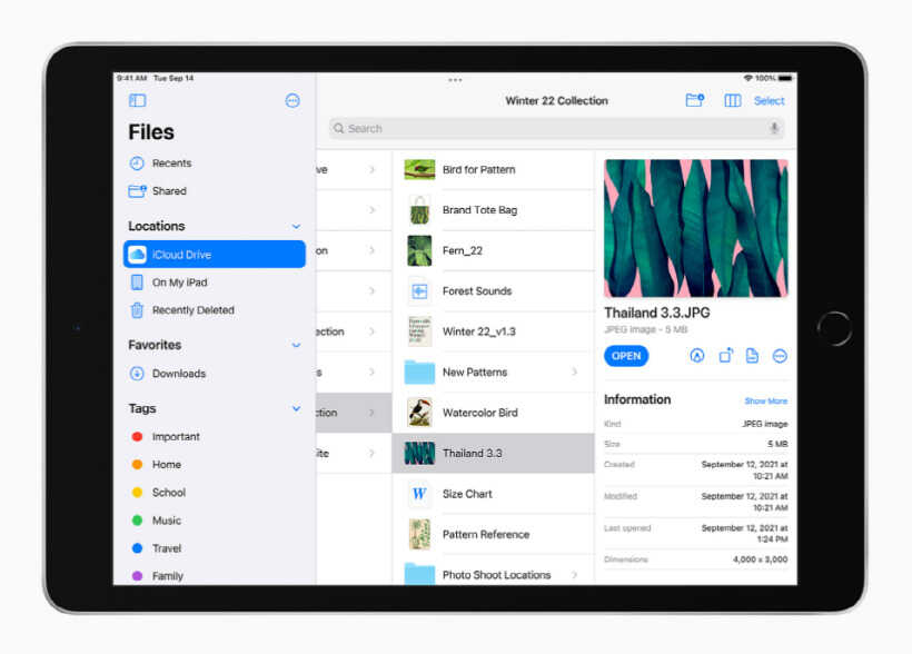 iPad 9到底值不值得买?网友:最具性价比的iPad,没有之一