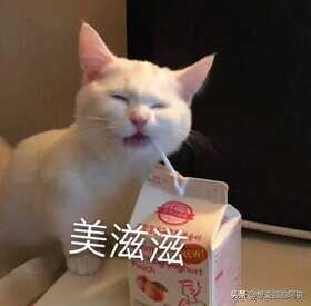 小米盒子4怎么才能看卫视频道,免费方法来了,很简单只需要这样