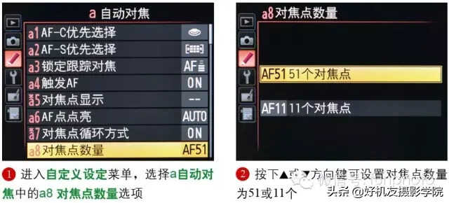 尼康D810对焦点数量、循环方式及显示方法怎么设置?一文搞懂