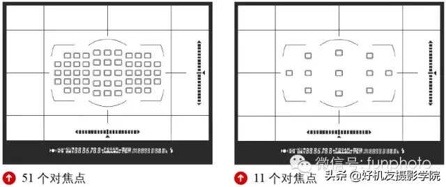 尼康D810对焦点数量、循环方式及显示方法怎么设置?一文搞懂