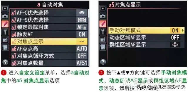 尼康D810对焦点数量、循环方式及显示方法怎么设置?一文搞懂