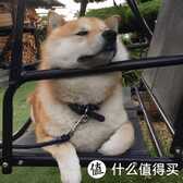 我只吃饭不洗碗,美的P60/B3/P40洗碗机怎么选?