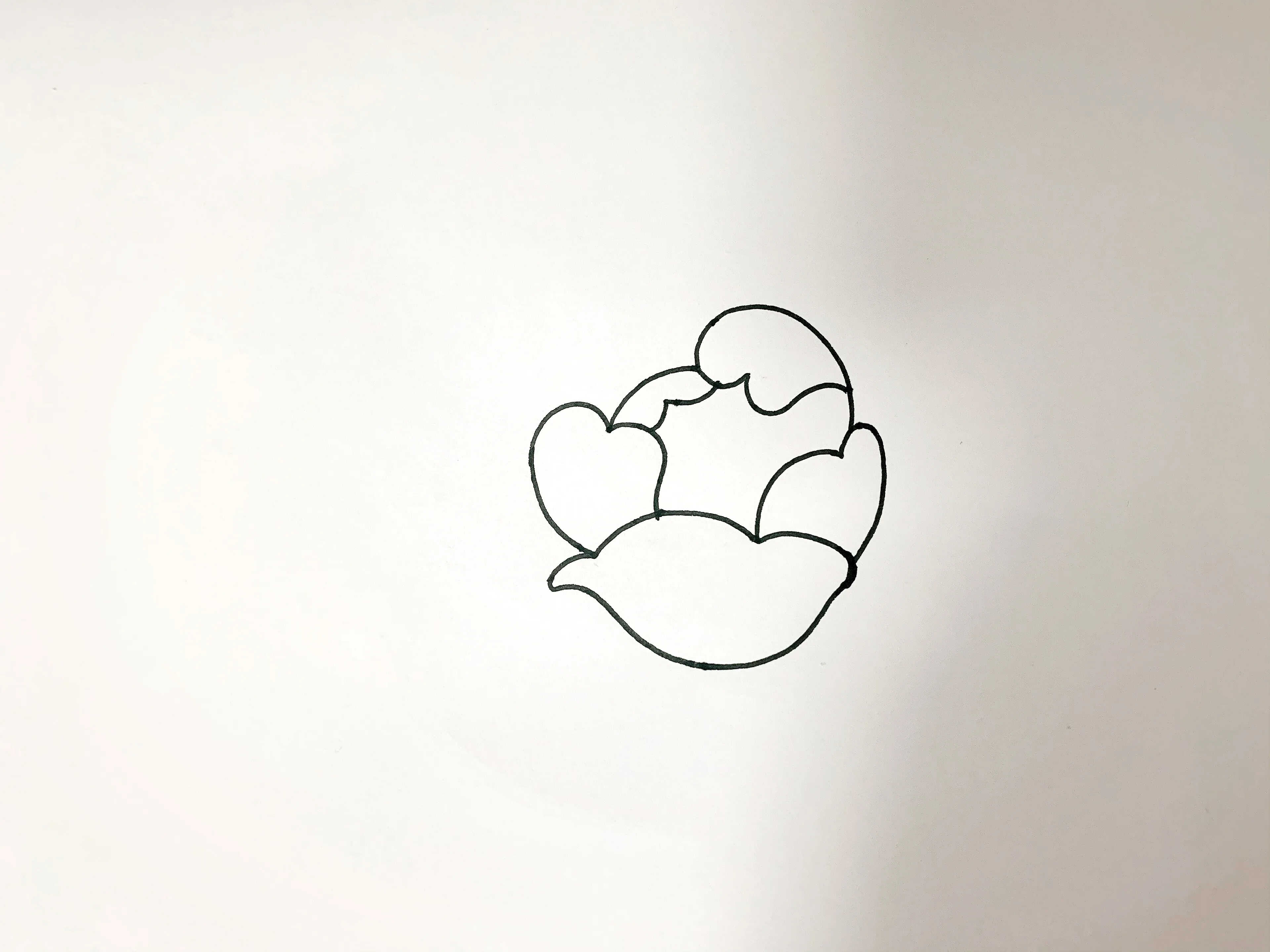 针管笔手绘玫瑰花,6步详细教学,你不来看看?