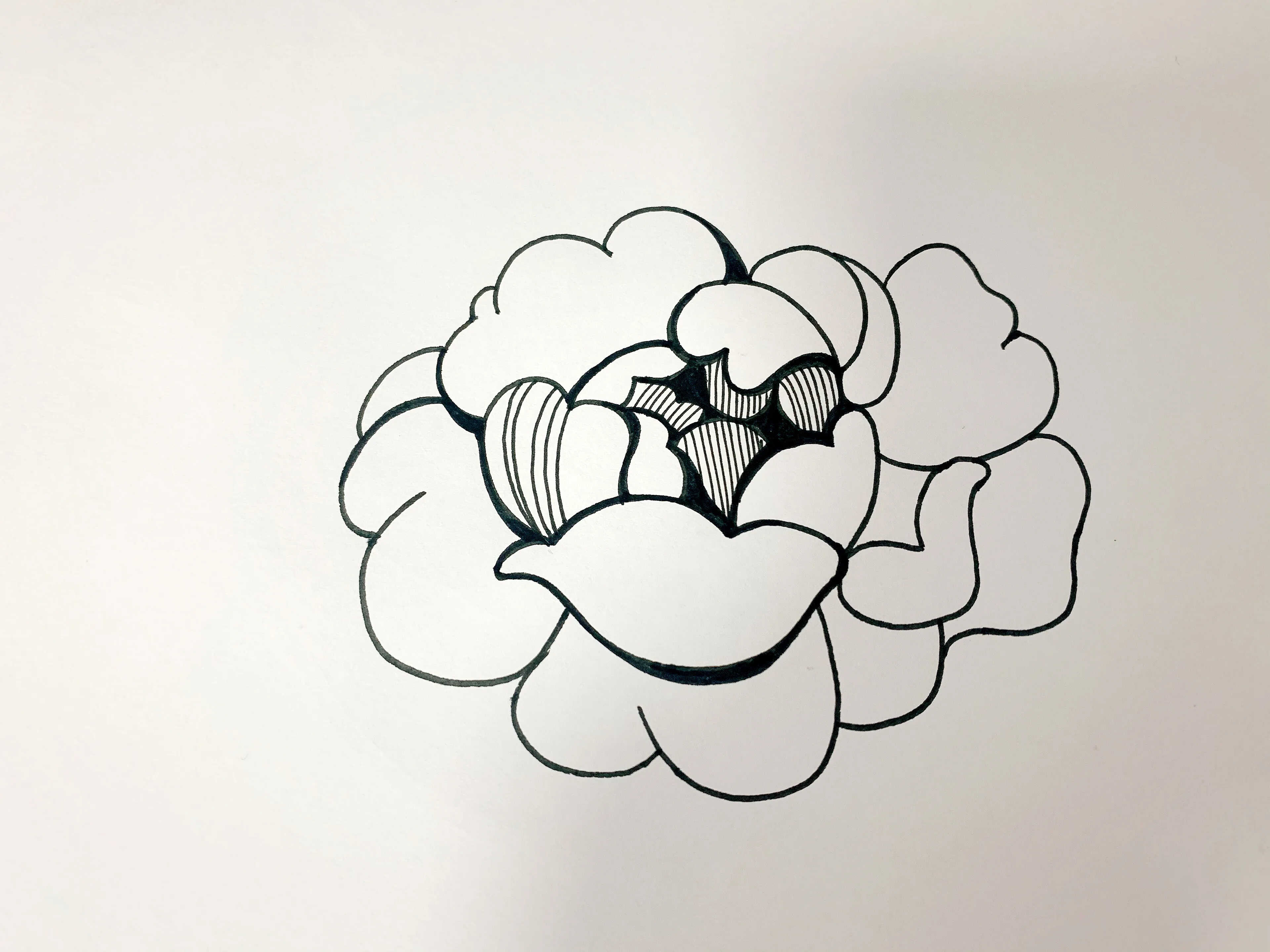 针管笔手绘玫瑰花,6步详细教学,你不来看看?