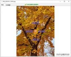 希捷移动硬盘打不开怎么办?