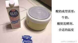 酸奶机自制酸奶安全吗？最成功、简单的自制酸奶做法是什么？