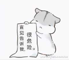 酷热与潮湿来临 机箱积灰问题要处理