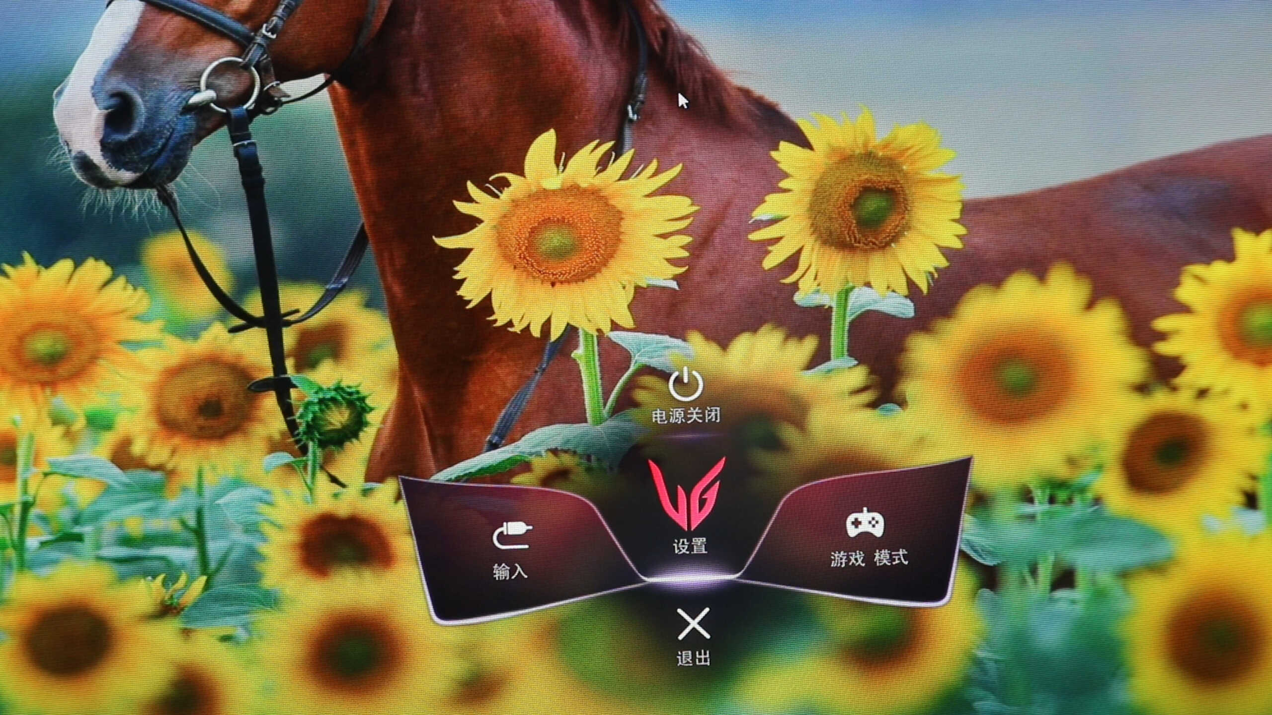 LG 电竞显示器27GP850如何超频到180Hz?畅享高刷体验