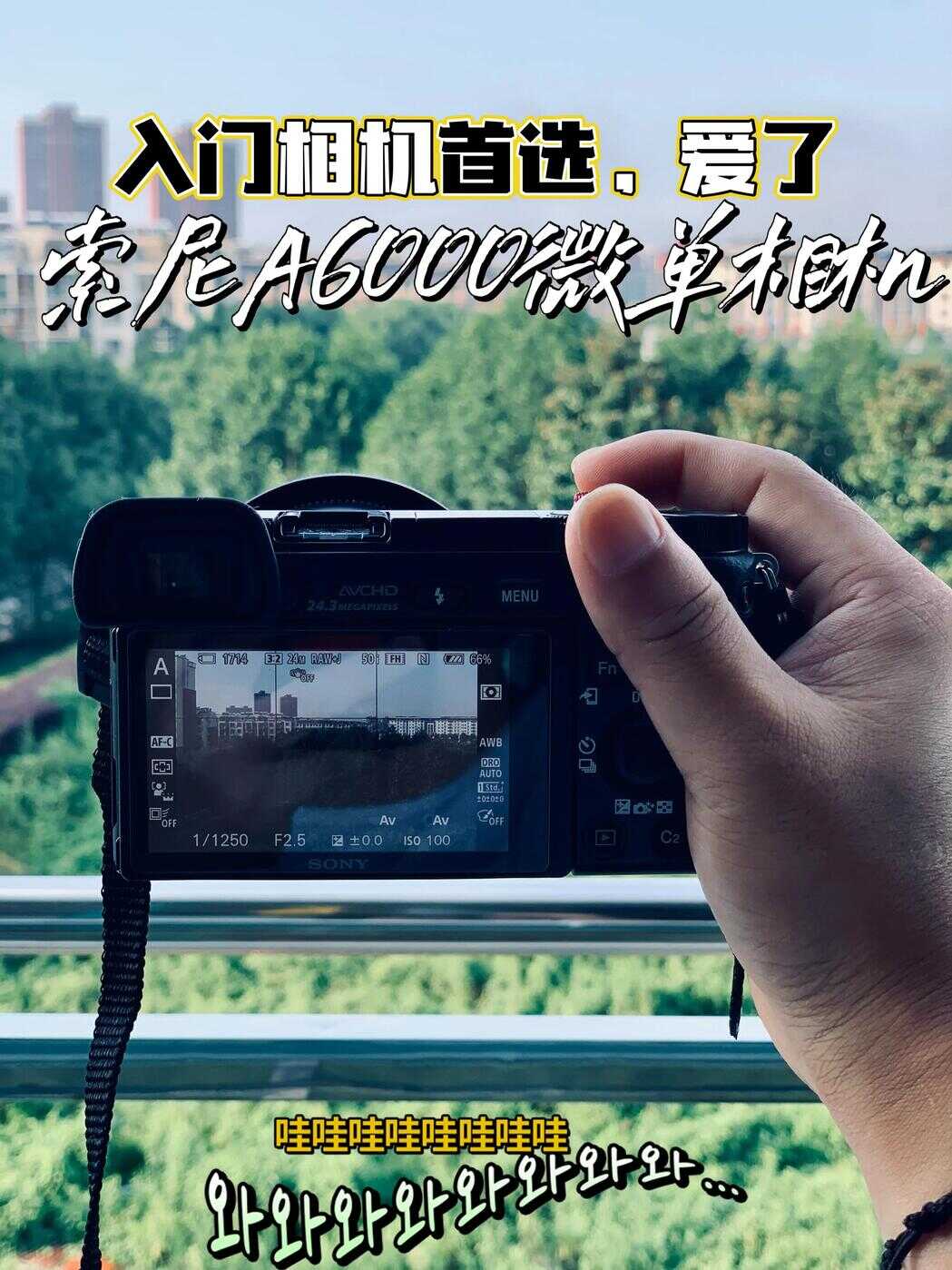 入门相机首选,索尼A6000的三大优势,爱了