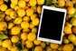 ipadmini2卡顿反应慢怎么办(修复iPad缓慢问题)