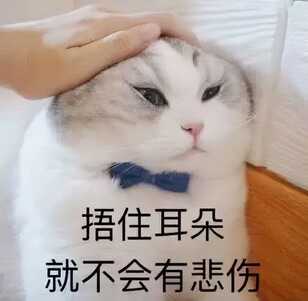 入耳式耳机和半入耳式耳机,谁对耳朵伤害更大?
