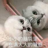 入耳式耳机和半入耳式耳机,谁对耳朵伤害更大?