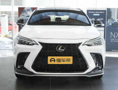 nx300雷克萨斯2022款(顶配售价54.88万)