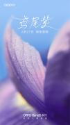 OPPO Reno8推出新配色（夏日新配色鸢尾紫颜值太高了）