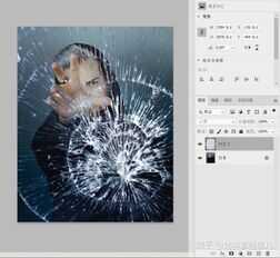PS CS6怎么快速学会通道抠图?