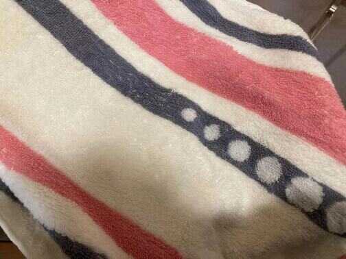 除湿机是鸡肋还是实用?用过之后才发现真好用