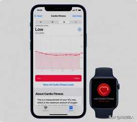 Apple Watch的35个技巧和功能:做一个智能手表大师