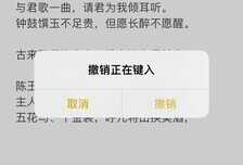 5个iPhone输入法技巧,全学会打字速度快到飞起