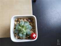 夏普S2高配版评测:抢在苹果iPhone 8之前的异形全面屏体验