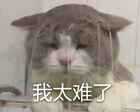CPU怎么正确安装?CPU原来是这样安装的