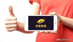 同样是二手手机平台,闲鱼和转转到底哪个靠谱?