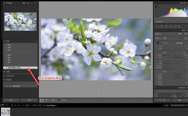 Lightroom教程_如何导入lr预设?