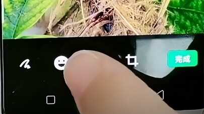 用手机拍照,如何给照片添加文字,这个小妙招一学就会