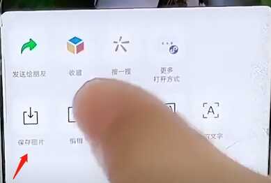 用手机拍照,如何给照片添加文字,这个小妙招一学就会