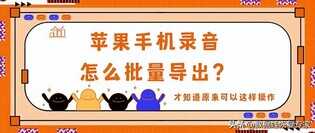 苹果手机录音怎么批量导出?才知道原来可以这样操作