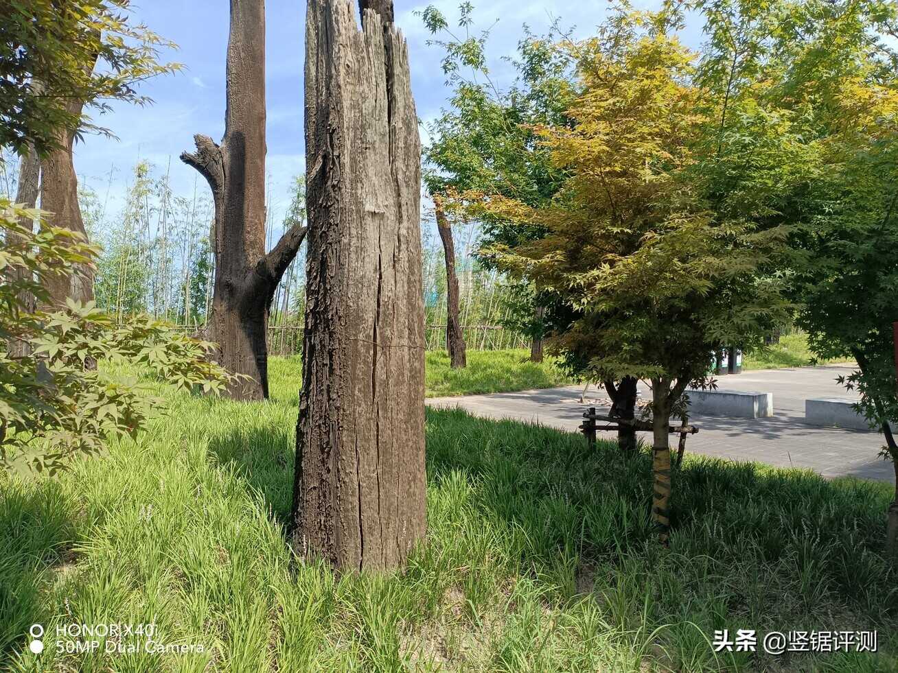 千元手机还有“13GB运存”设计?荣耀X40i轻薄新机简评