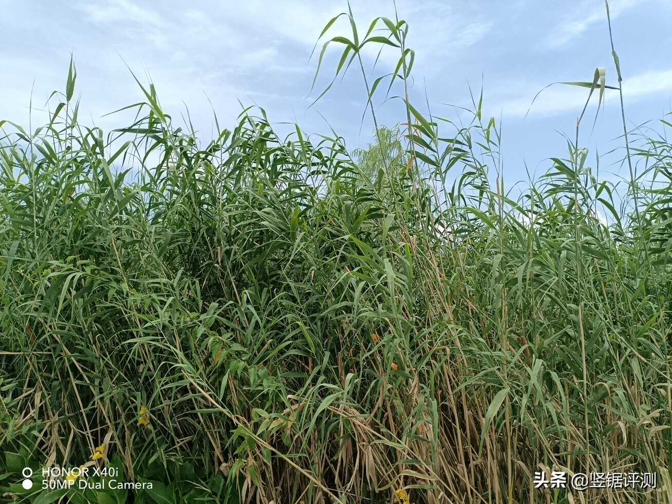 千元手机还有“13GB运存”设计?荣耀X40i轻薄新机简评