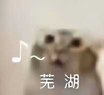最低37元!性价比最高的电动牙刷,全在这里了