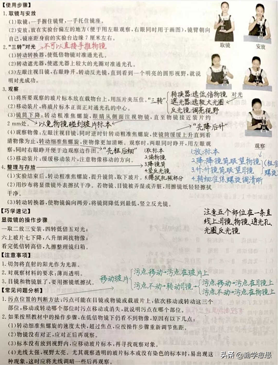 显微镜的结构及正确使用