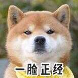 啥是杜比影院?它到底哪里好 ?