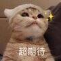 max什么意思（手机型号的字母后缀的含义）