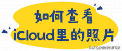 icould上储存的照片在哪看（查看iCloud里的照片的方法）