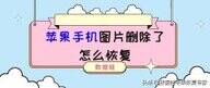 苹果手机删除的照片怎么恢复（苹果手机图片删除了快速恢复方法）