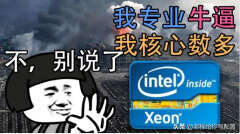 intel至强系列怎么样(至强系列cpu性价比最高)