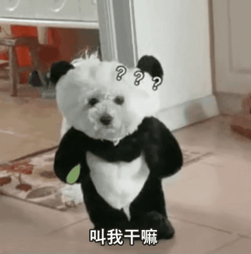 有什么做表情包的软件_用照片做暴走表情_用照片做表情的软件