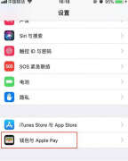 苹果有nfc功能吗（iPhone NFC功能开启教程）