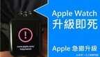 苹果手表系统尽量不更新吗(终于看到有人说实话了)