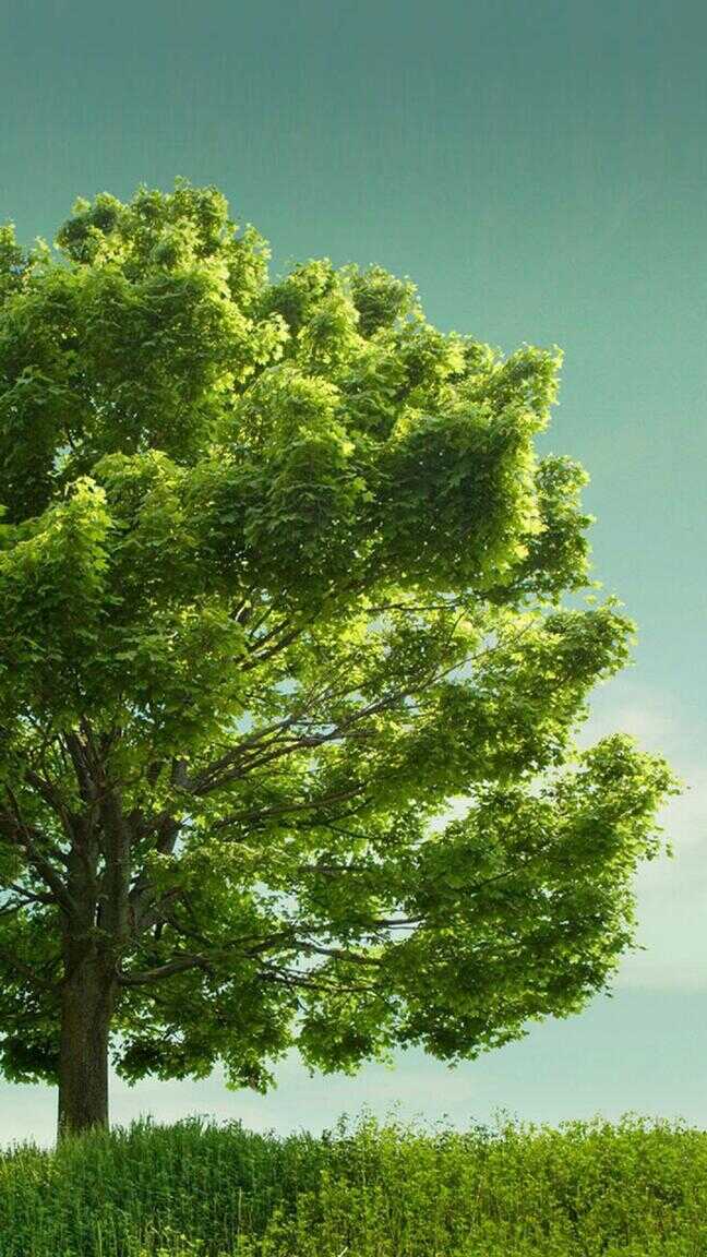精选壁纸 | 精美绝伦的锁屏壁纸图片，手机一下子就高大上了