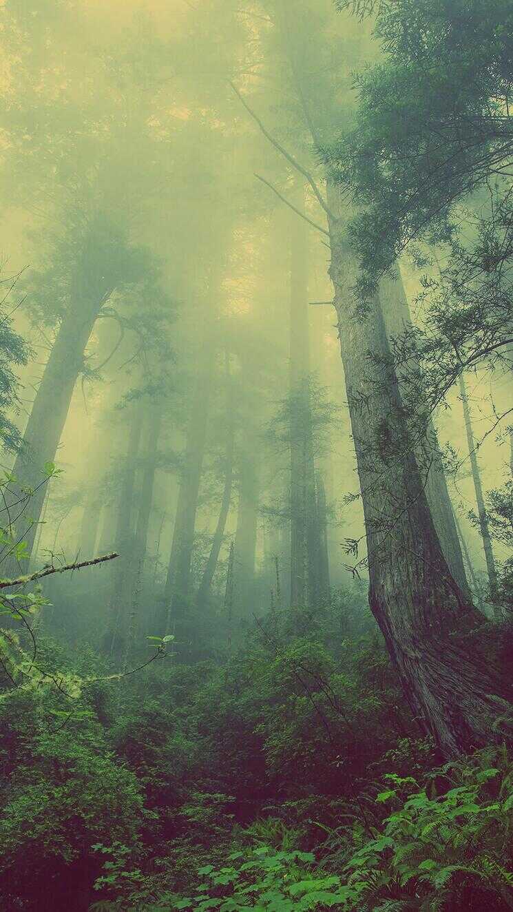精选壁纸 | 精美绝伦的锁屏壁纸图片，手机一下子就高大上了