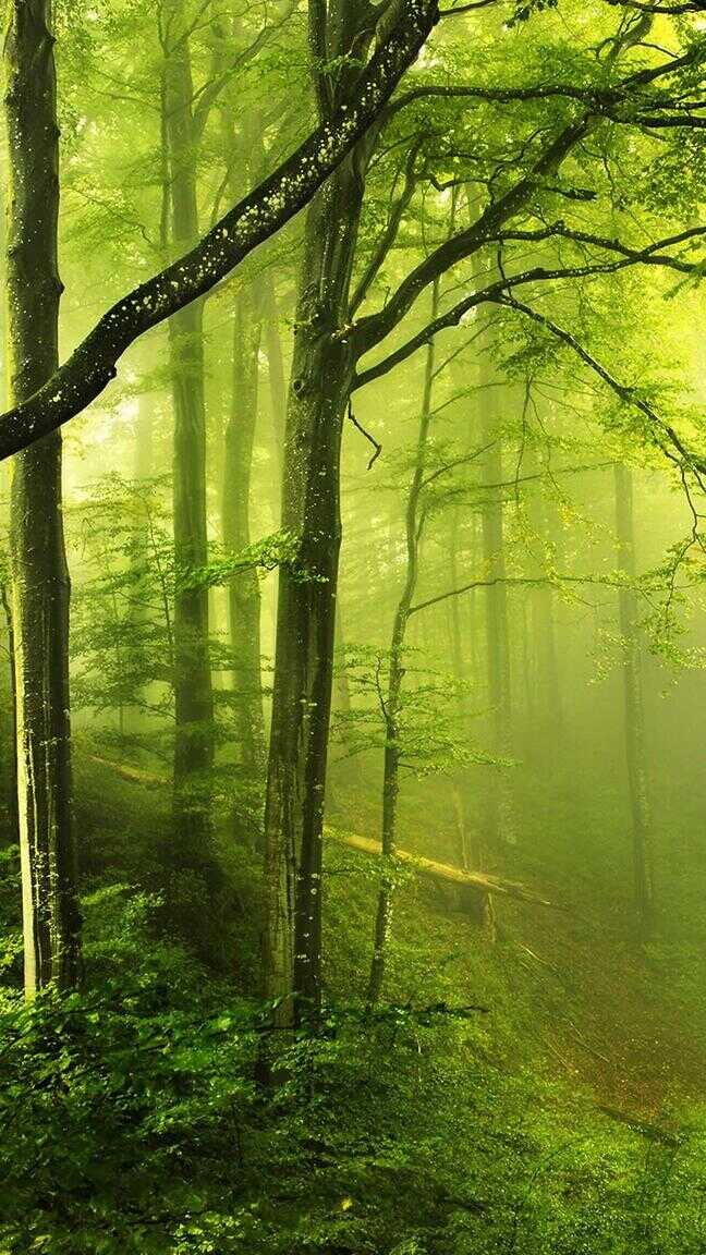 精选壁纸 | 精美绝伦的锁屏壁纸图片，手机一下子就高大上了