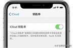 苹果商店下载怎么用面部识别（使用iPhone面容ID快速登陆）