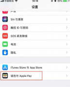 iphone nfc功能怎么打开（苹果手机NFC设置步骤）