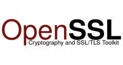 openssl漏洞怎样修复（OpenSSL修复方法）
