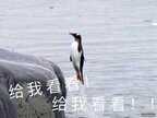  最新手游2022首发排行（腾讯2022年仍有12款新游上架）